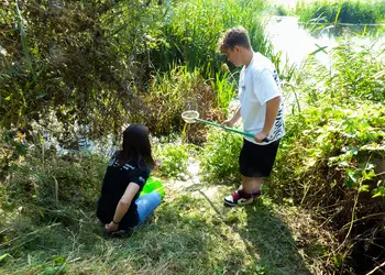 Wyławianie zwierząt żyjących nad starorzeczem