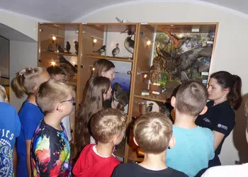 Uczniowie zwiedzają ekspozycję dotyczącą miejscowej fauny