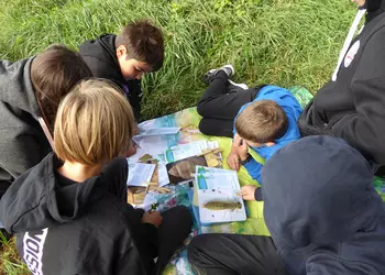 Chłopcy rozpoznają organizmy żyjące w starorzeczu Warty