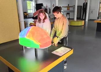 Julia i Mikołaj poznają budowę mózgu