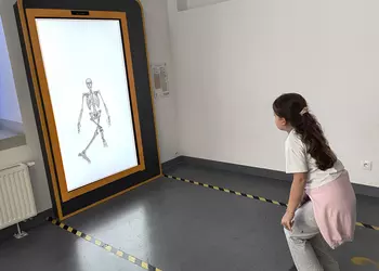 Majka poznaje budowę szkieletu