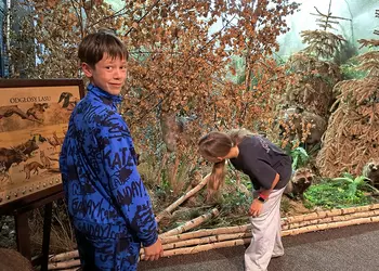 Marysia i Oliwier wypatrują mieszkańców lasu