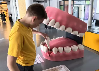 Mateusz sprawdza uzębienie