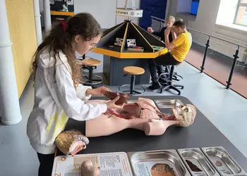 Rita poznaje budowę ludzkiego ciała