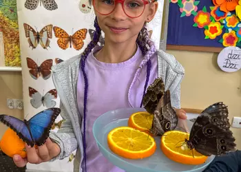 Małgosia z motylami