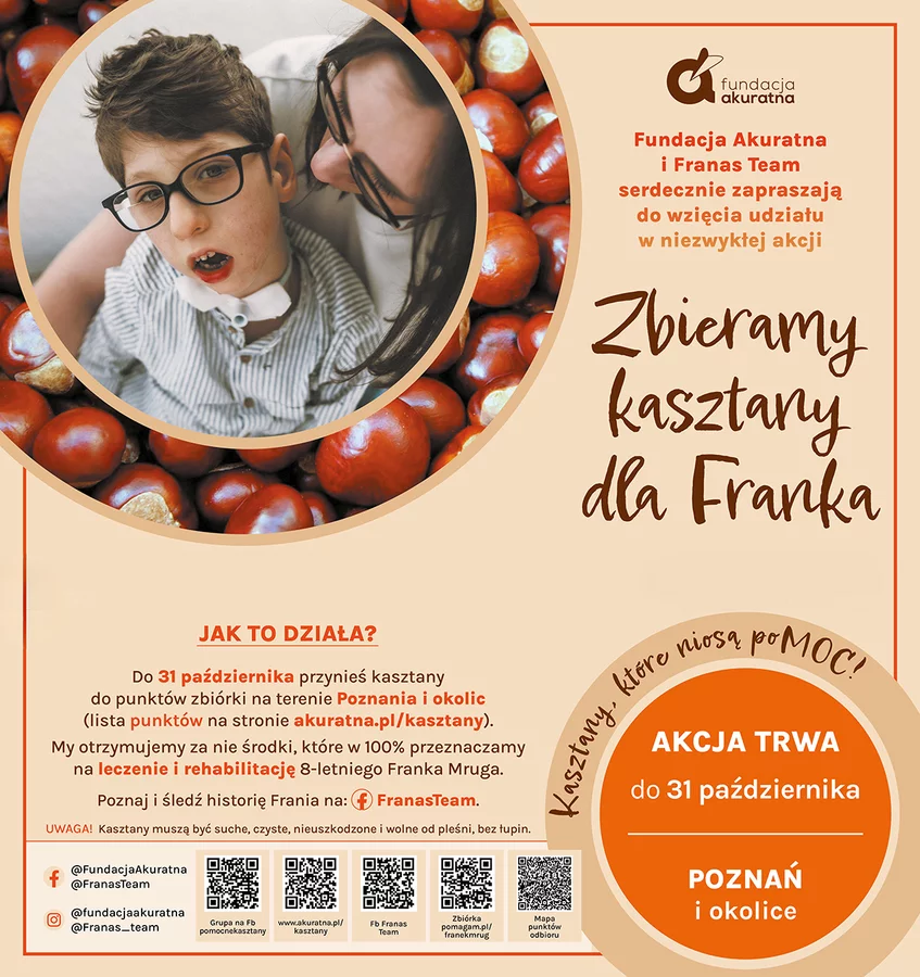 Zbieramy kasztany dla Franka
