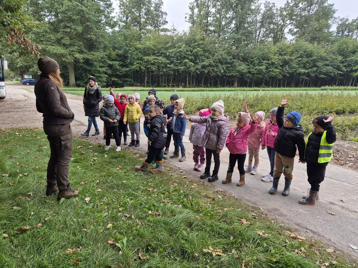 Szukamy jesieni w lesie…