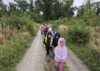 Najmłodsi przedszkolacy spacerkowo ścieżką leśną