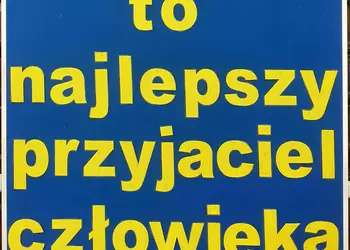 Gazetka tematyczna w bibliotece