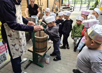 Igor wyciska sok z jabłek.