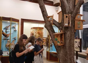 W muzeum przyrodniczym
