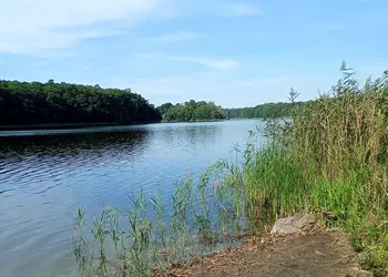 Wyspa Zamkowa na jeziorze polodowcowym - J.Góreckie