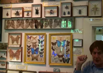 Wystawa motyli