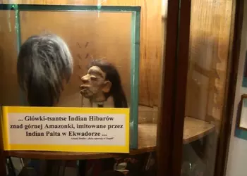 Główki - tsantse Indian Hibarów