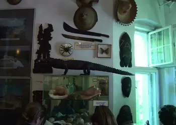 Różne eksponaty związane z podróżami Arkadego Fiedlera